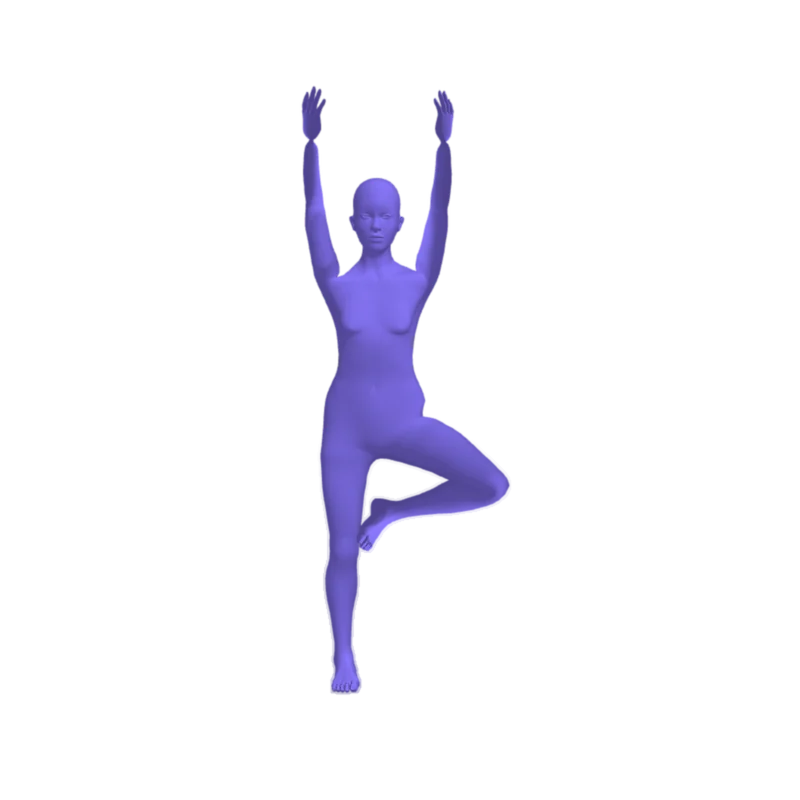 The 3D body in Tree Pose