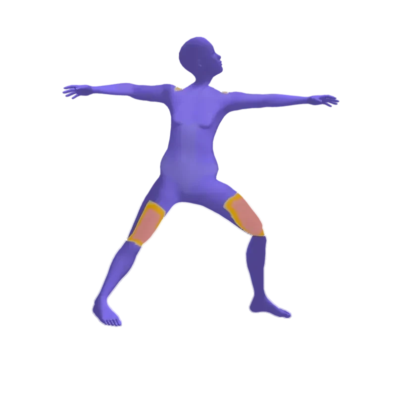 3D Warrior II figure with the zones engaged by the class highlighted